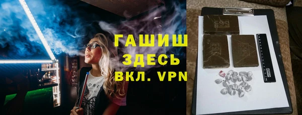 гидра Тайга