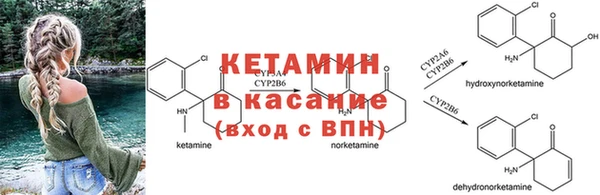 гидра Тайга