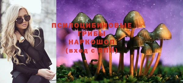 apvp Сясьстрой