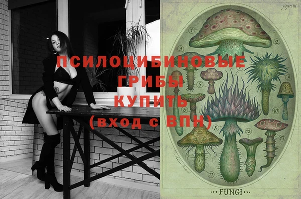 apvp Сясьстрой